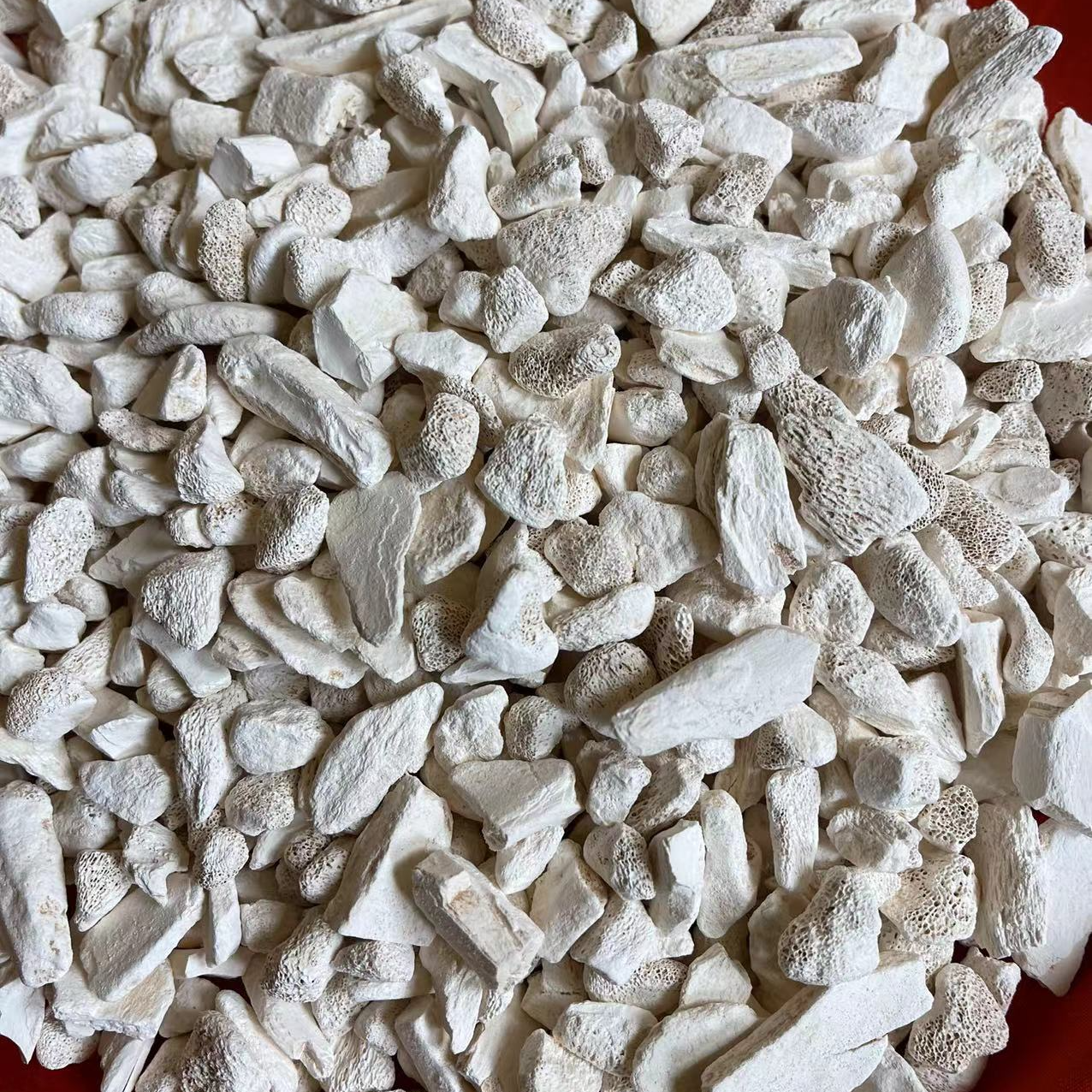 A【龙-骨】净含量：100-1000g【小田现收】枸杞