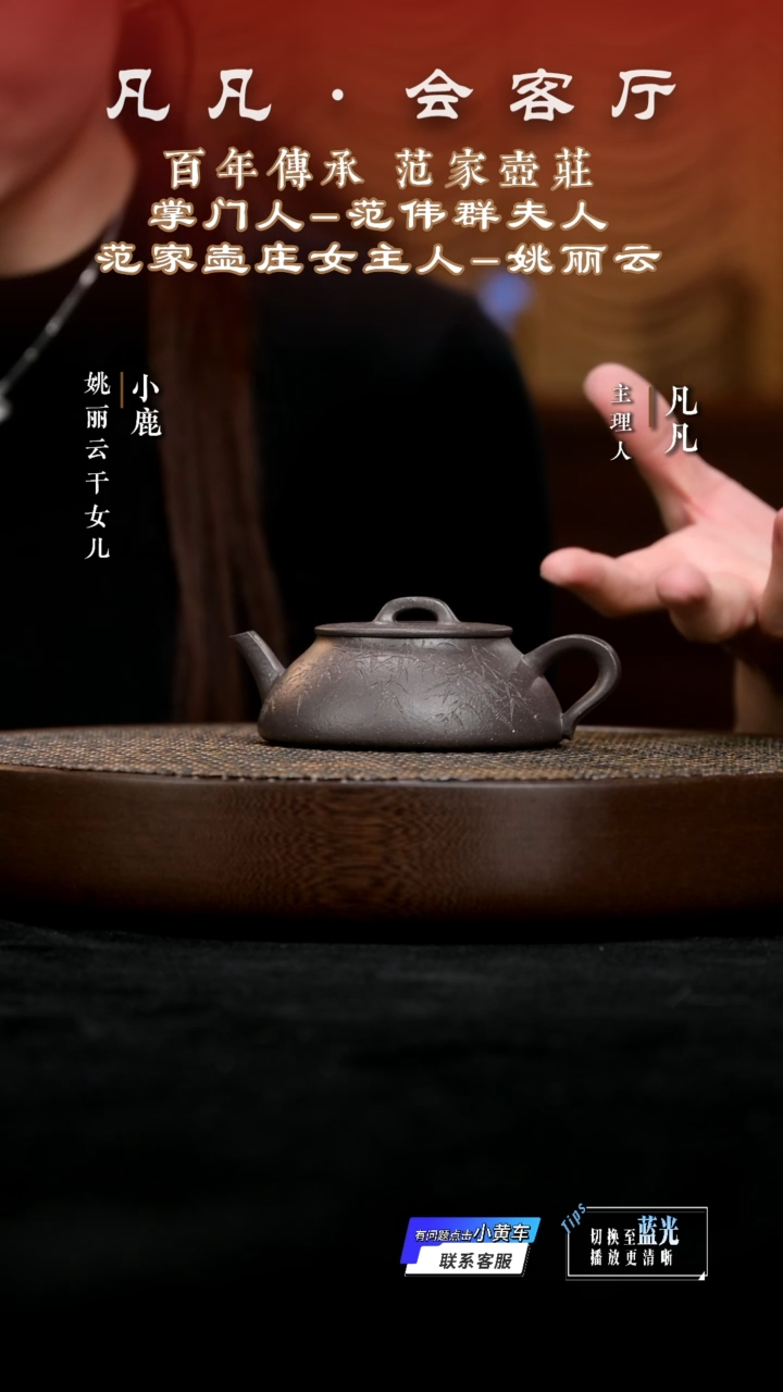 茶壶紫砂凡凡会客厅&姚丽云08 紫砂壶