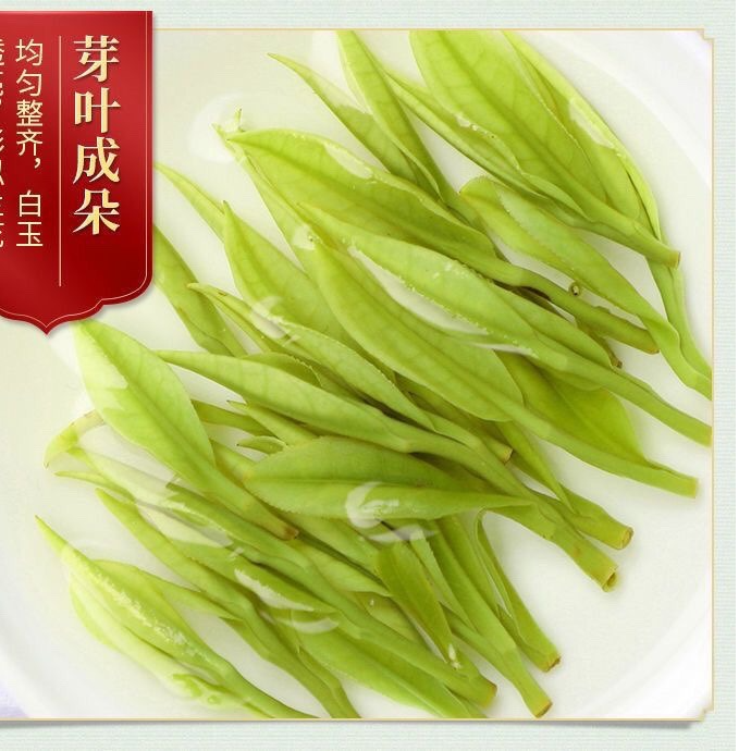 安吉【花果香】JXY白茶