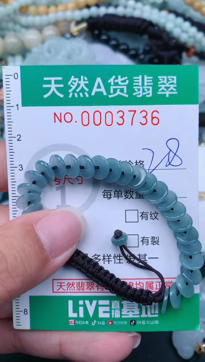 翡翠未镶嵌颈饰.0003736