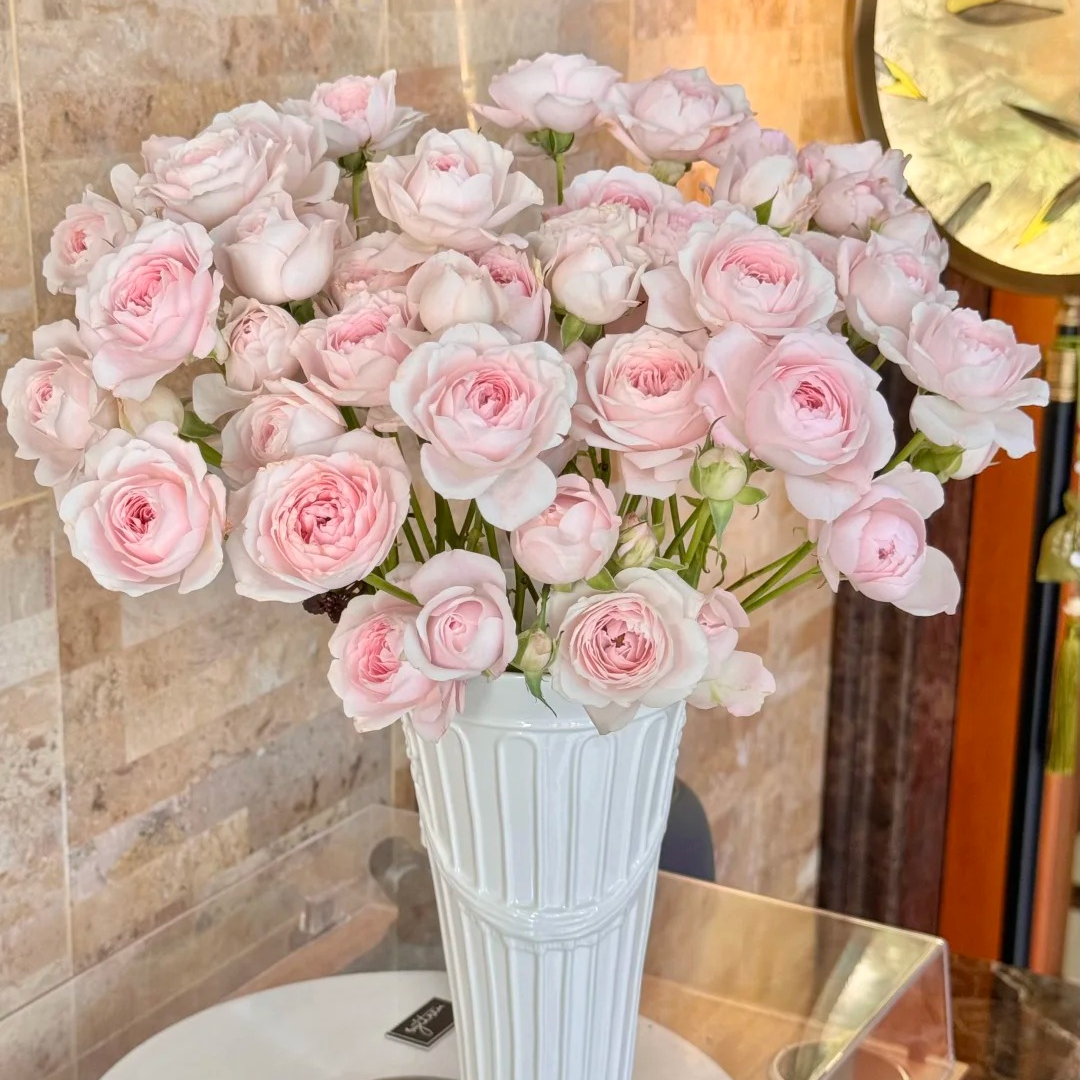 多玫-高品质-仙子之吻-任意2单鲜花包邮 发货后不支持退款