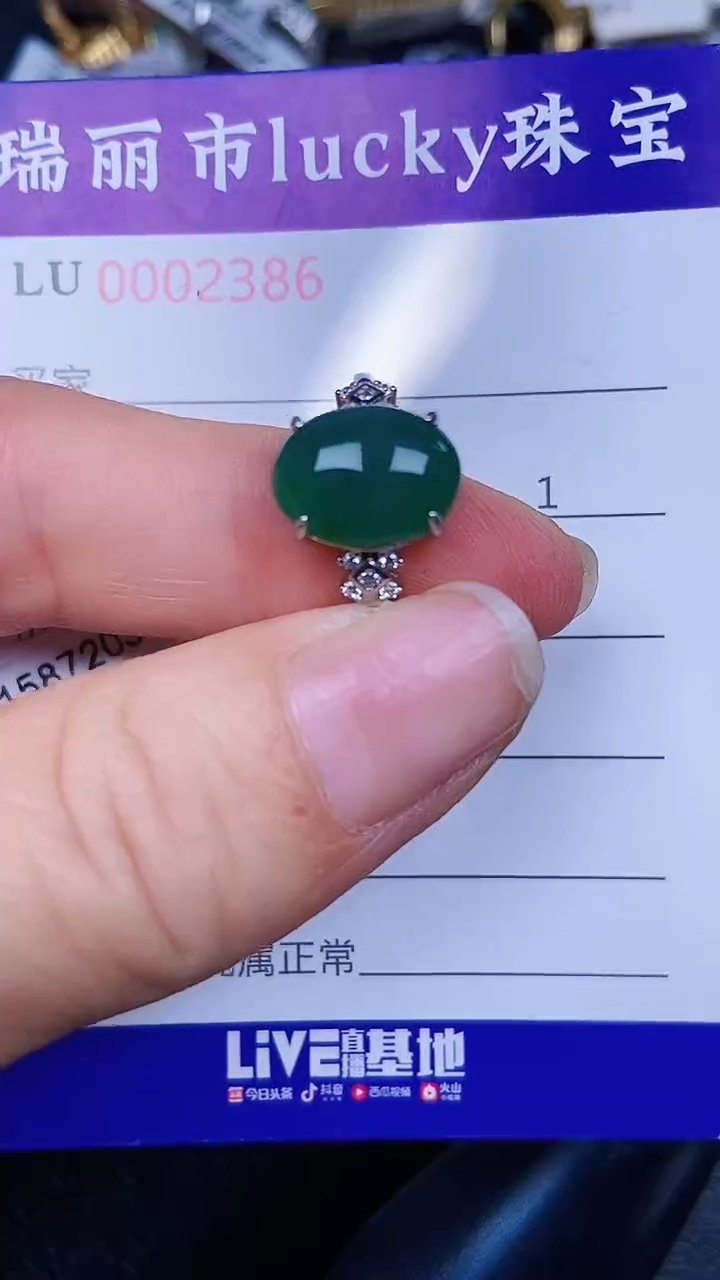 颈饰银S925镶嵌翡翠2386