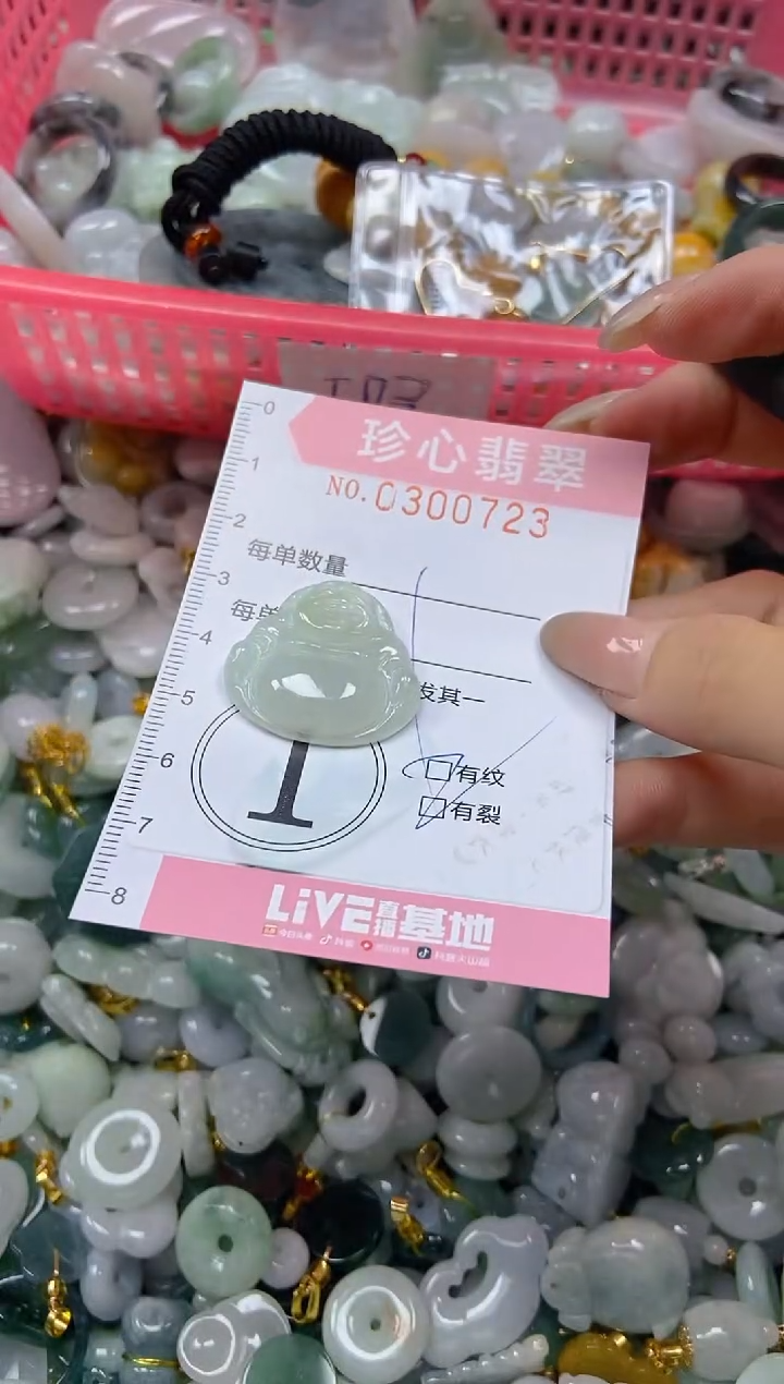 翡翠未镶嵌颈饰闪购0300723