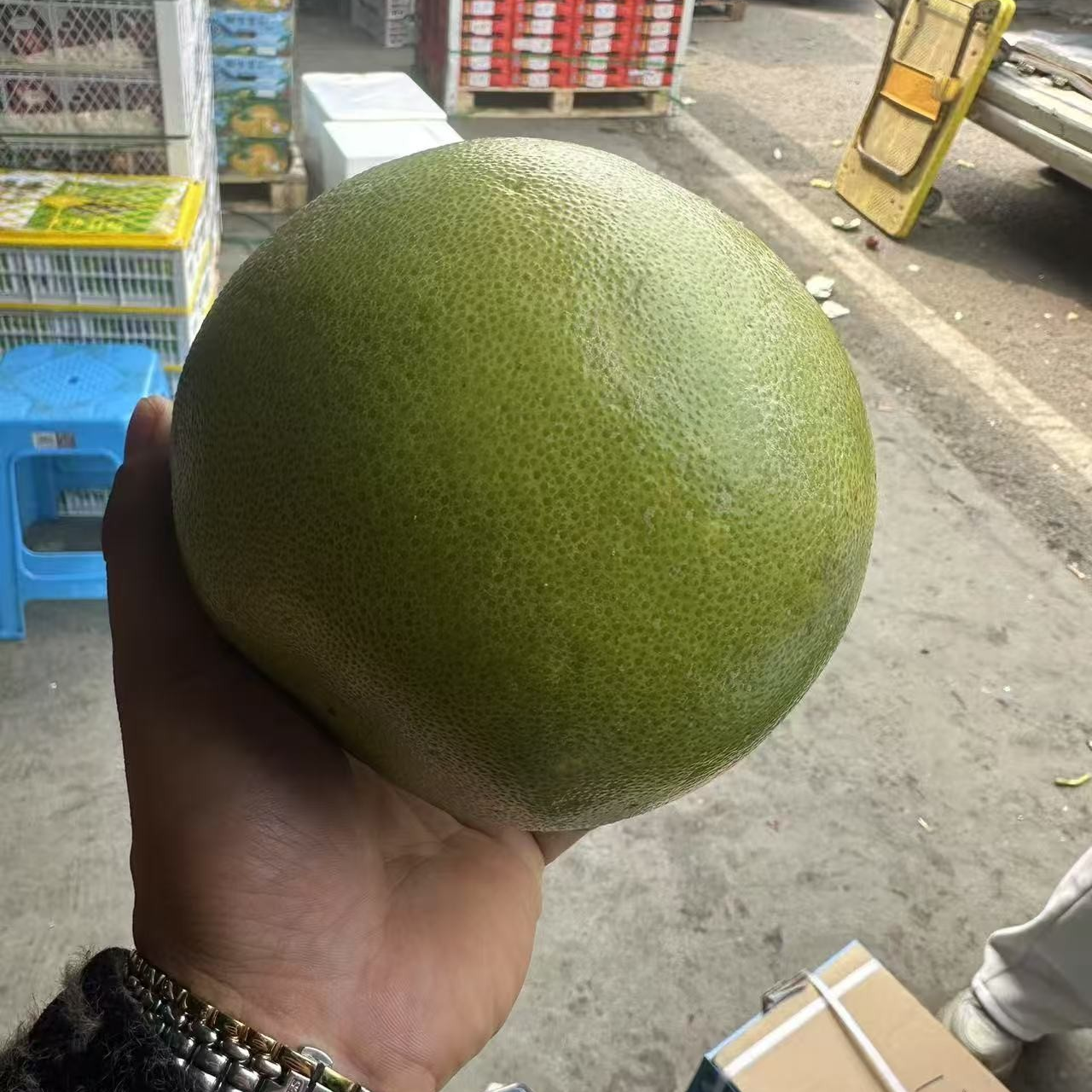 泰国蜜柚（白心）一个