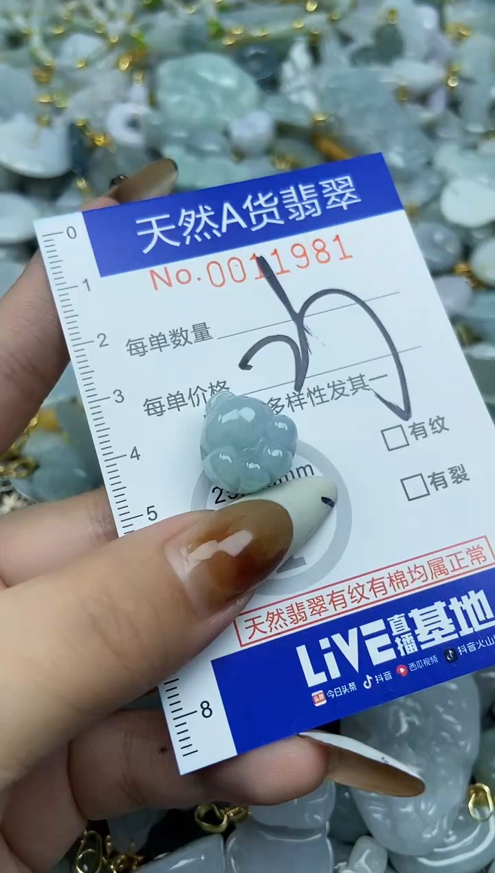 【闪购商品】翡翠颈饰未镶嵌天然A货翡翠