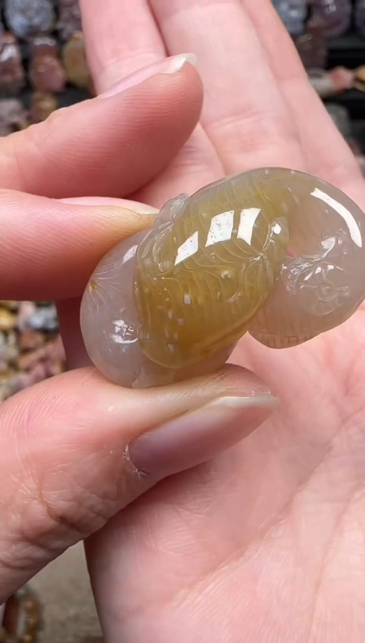 颈饰未镶嵌硅化珊瑚（珊瑚玉）186