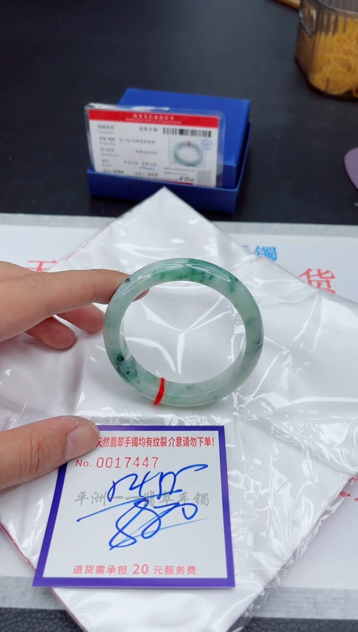 未镶嵌手镯翡翠1