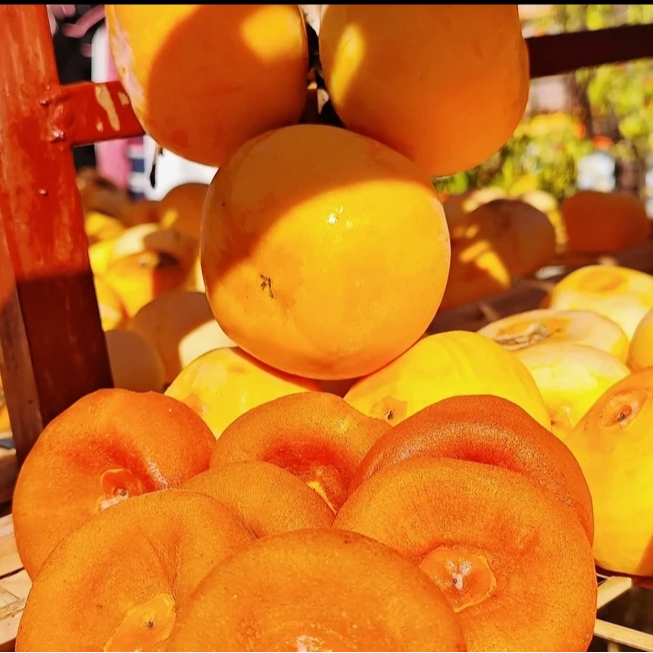【买一送一】广西桂林脆柿子饼新鲜应季水果口感脆甜不涩无添加