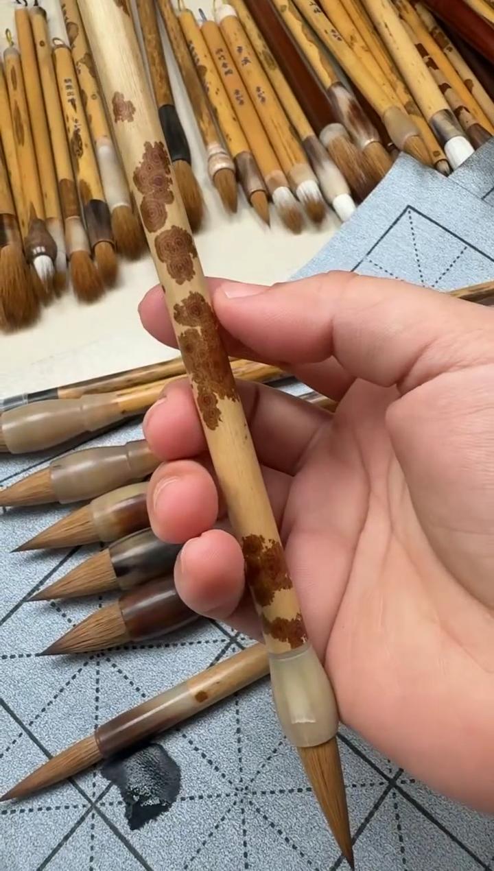 红湘妃母辽尾-纯料