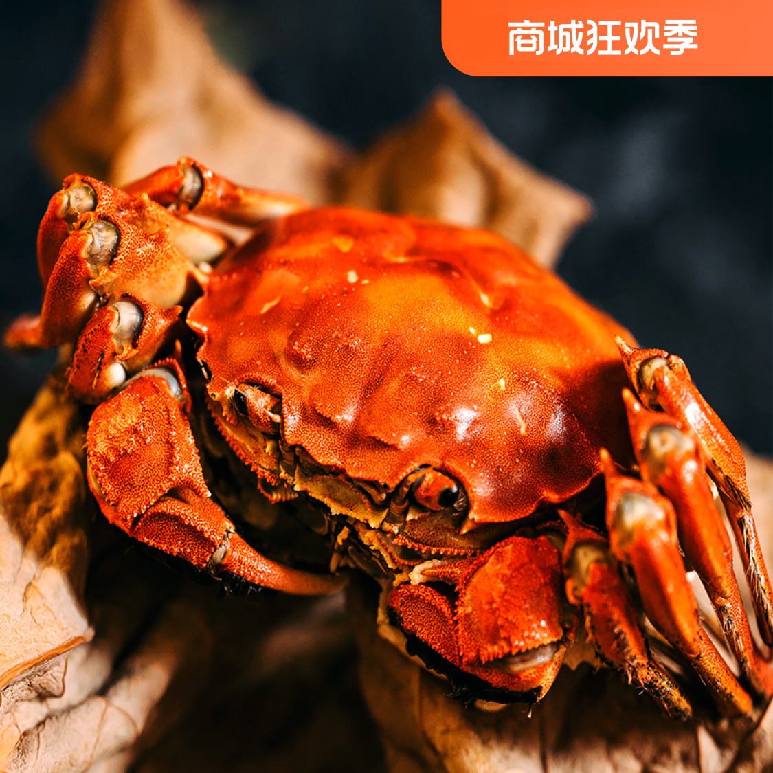 W活蟹河蟹全母2.0-1.7两买8只送2只京东顺丰包邮不绑绳子