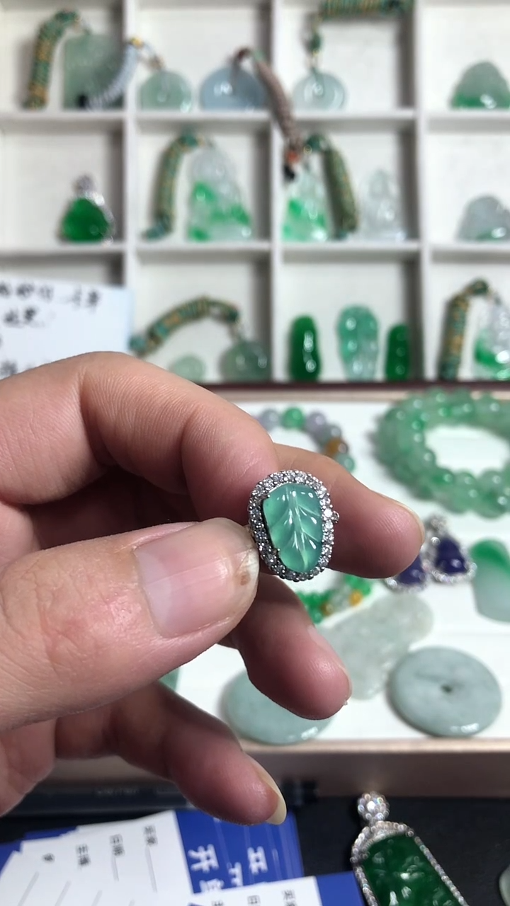 小雨臻选（一物一图）