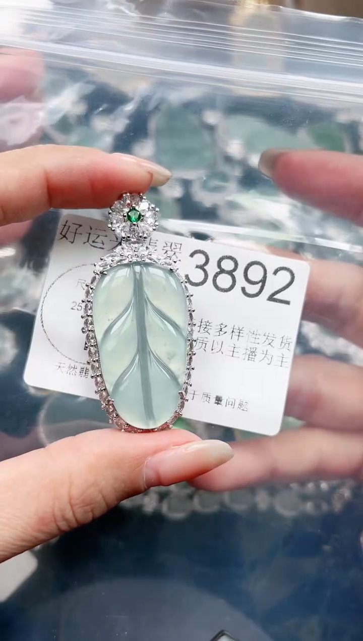 【闪购商品】翡翠颈饰未镶嵌赠皮绳3892