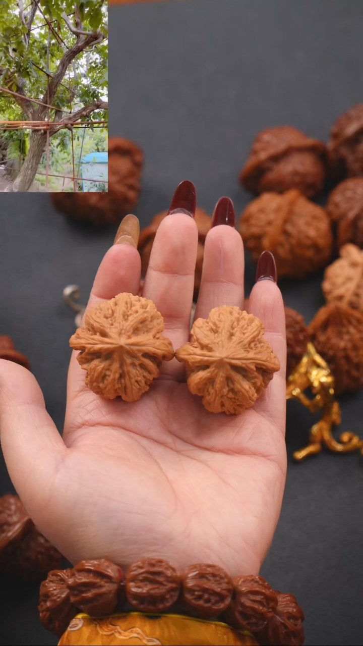 【闪购商品】文玩核桃把件39平谷大粗筋