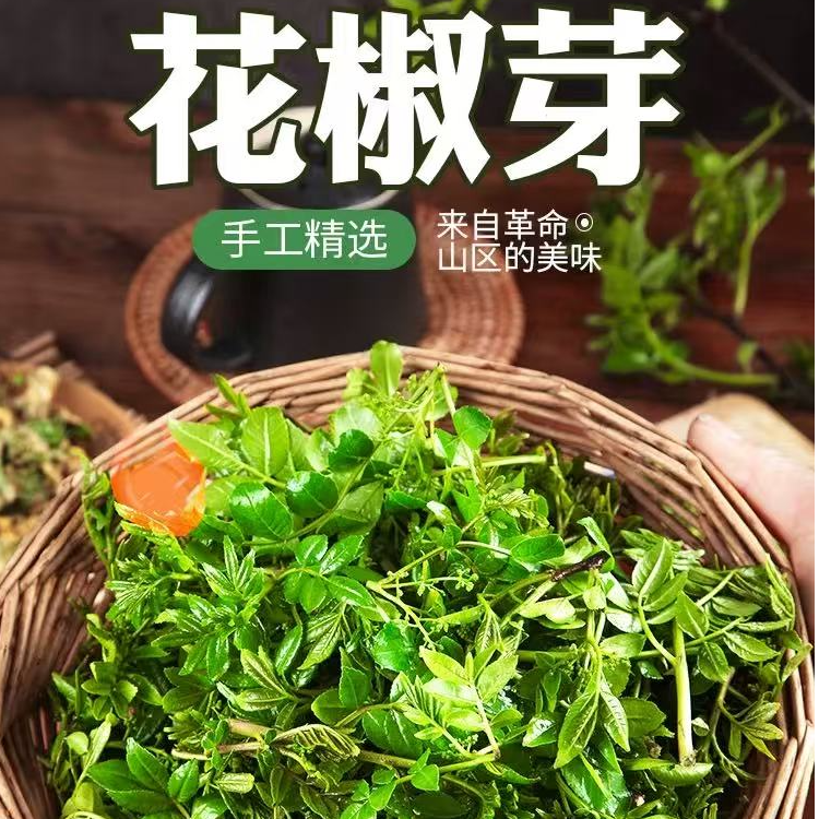 新鲜花椒芽现摘咸发货山东野菜