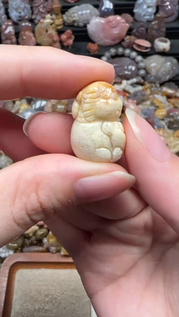 颈饰未镶嵌硅化珊瑚（珊瑚玉）511