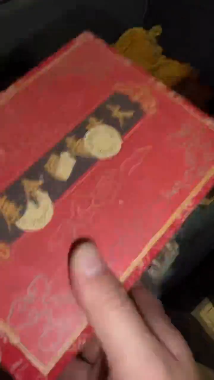 香榧木摆件多样性发其一