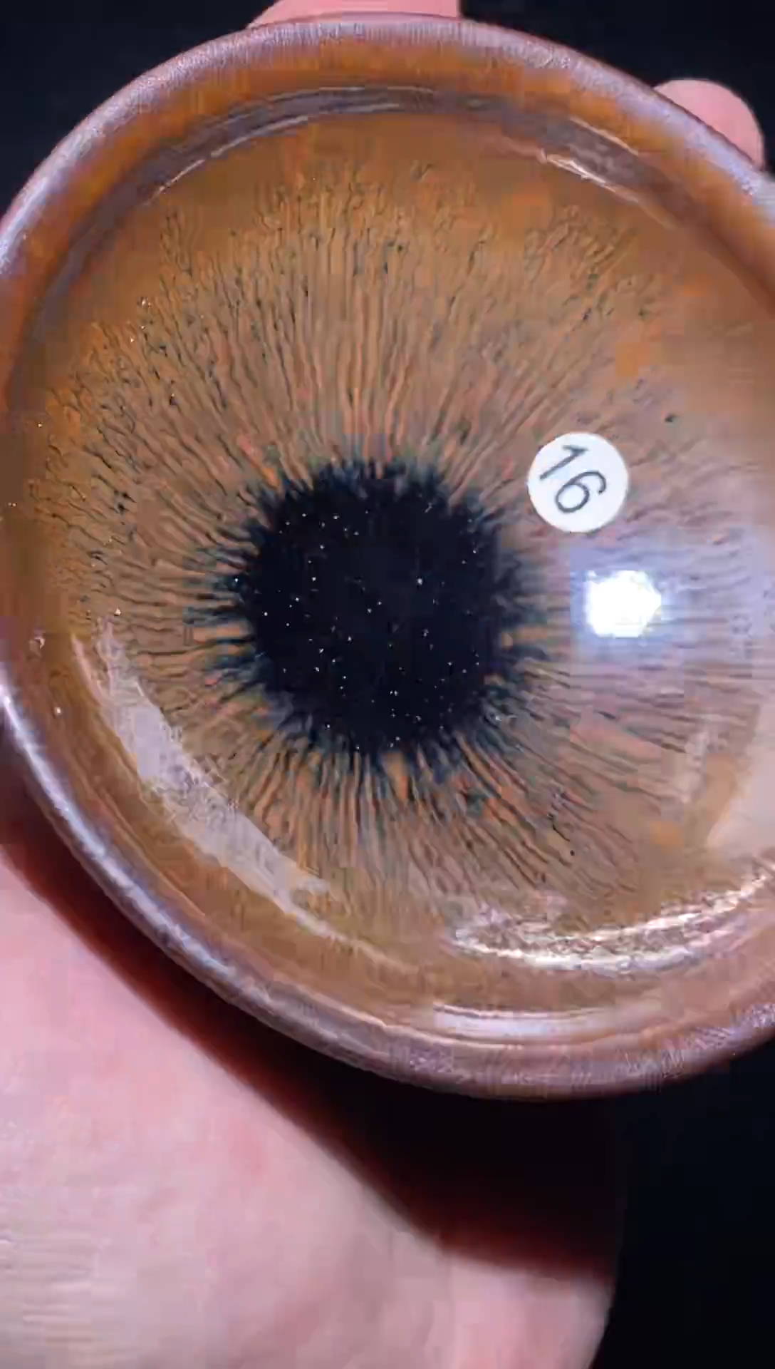 茶盏京*           221