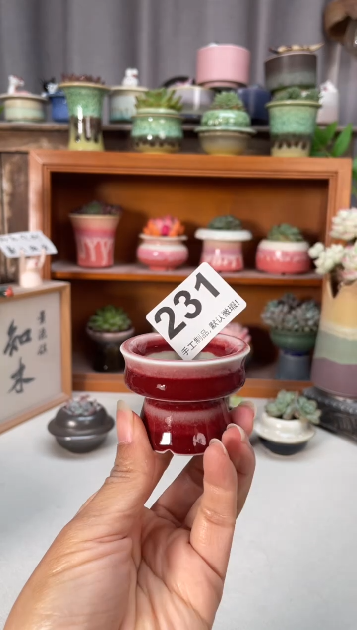 瓷片231知木小芳花盆