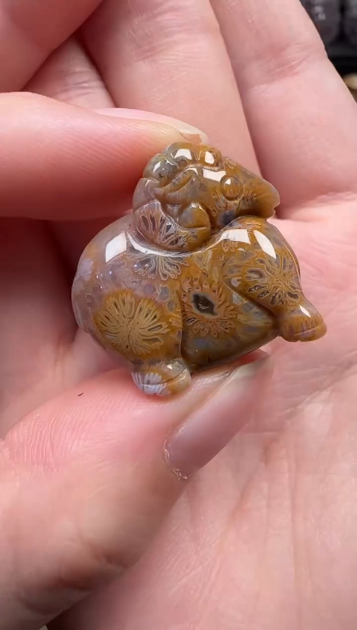 颈饰未镶嵌硅化珊瑚（珊瑚玉）609