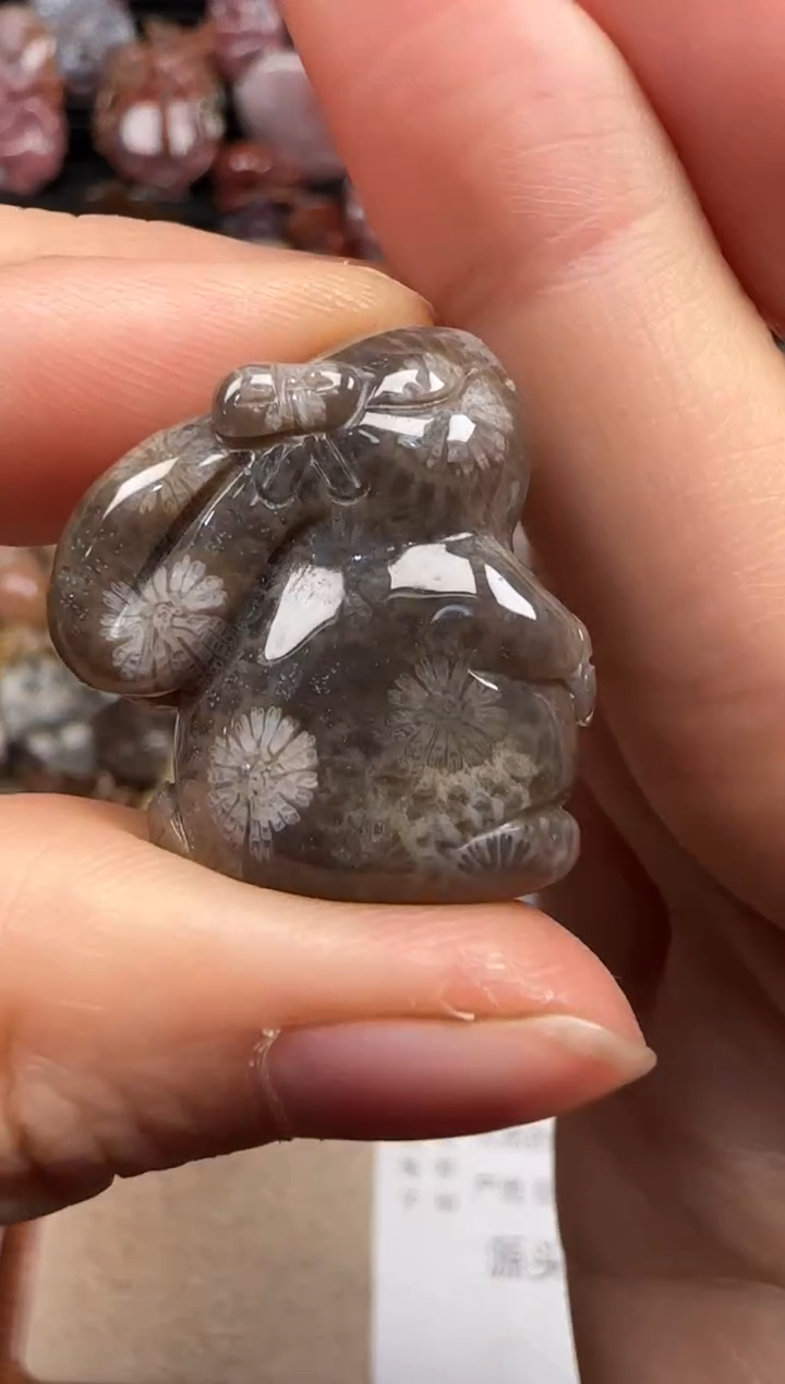 【闪购商品】硅化珊瑚（珊瑚玉）颈饰未镶嵌491