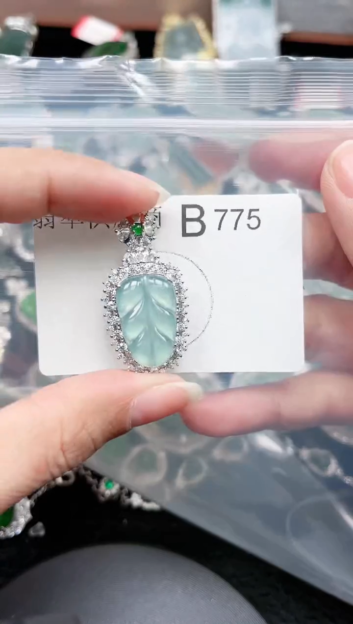 【闪购商品】翡翠颈饰未镶嵌775赠皮绳