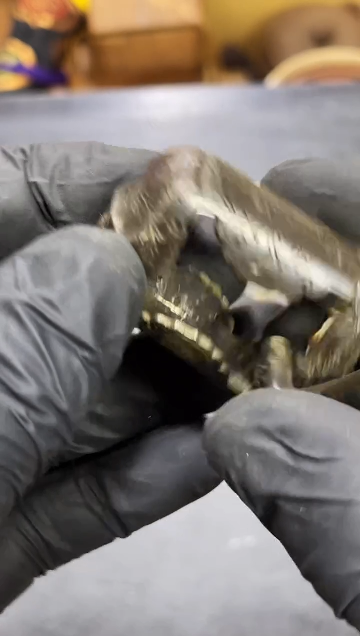 如图所示 阁集工艺品