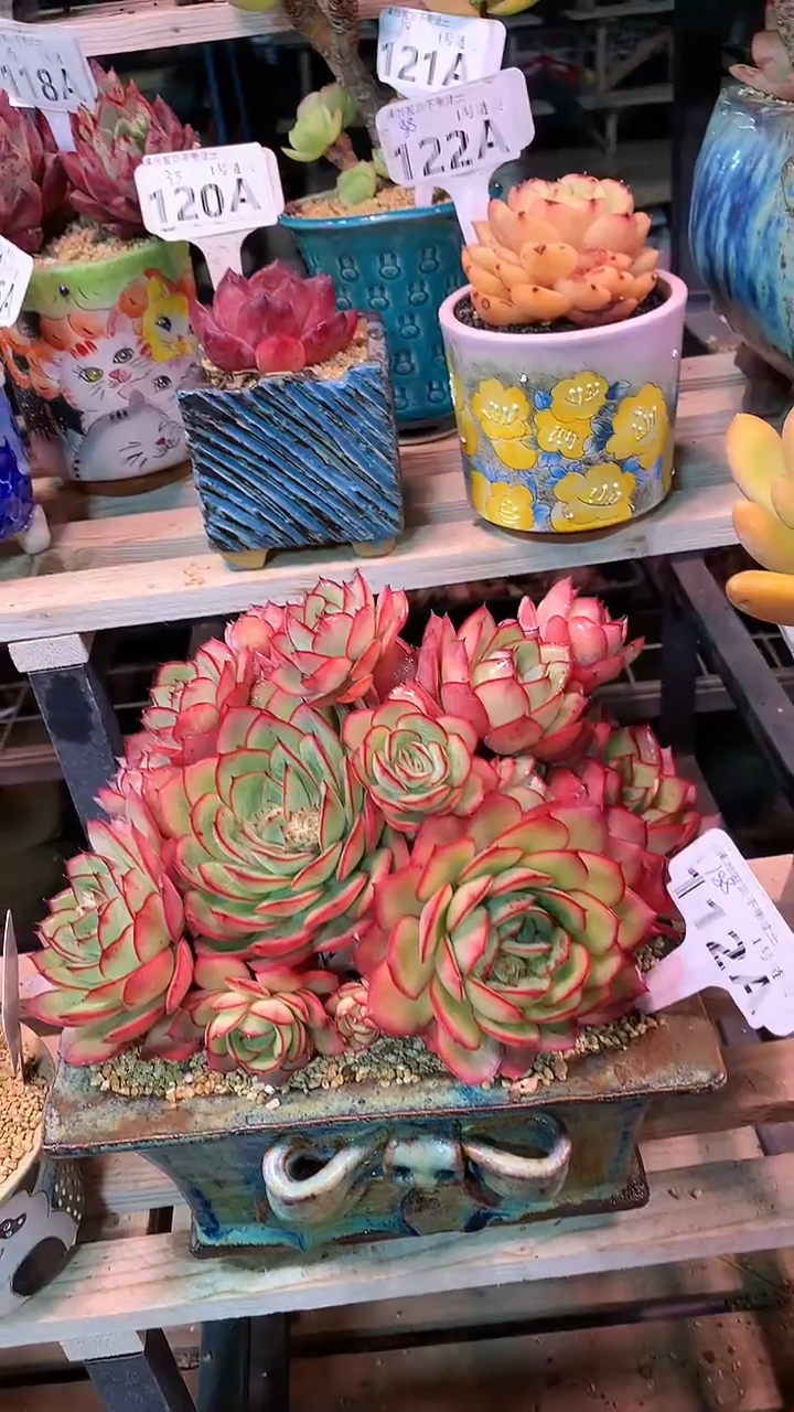 【闪购商品】112AAA