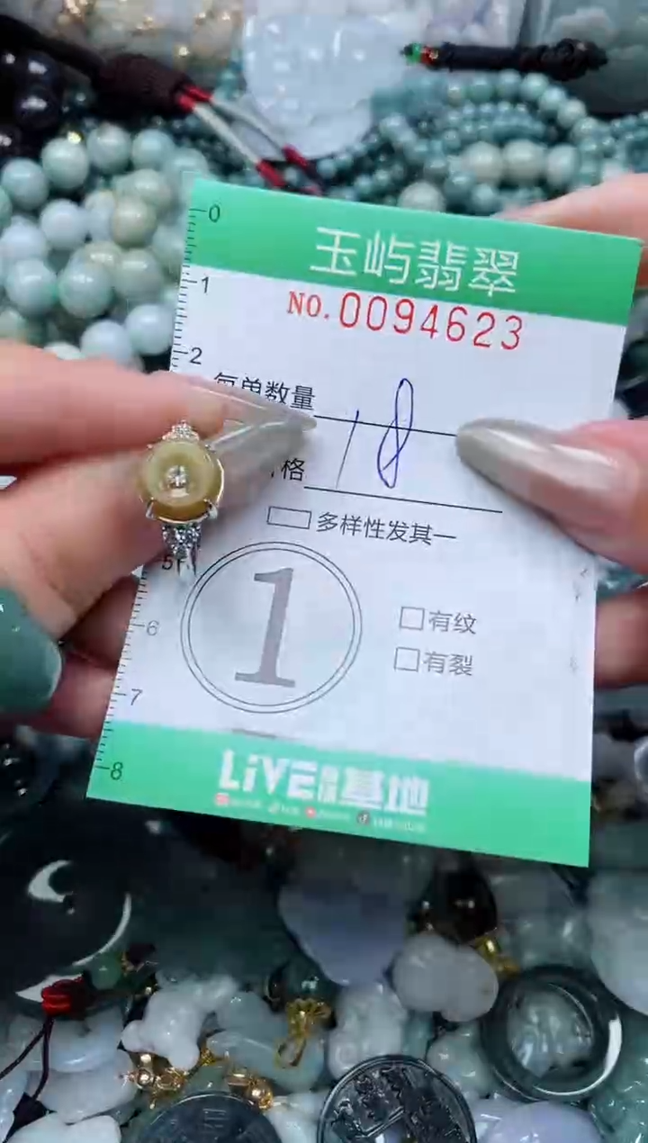 【闪购商品】翡翠颈饰未镶嵌闪购0094623