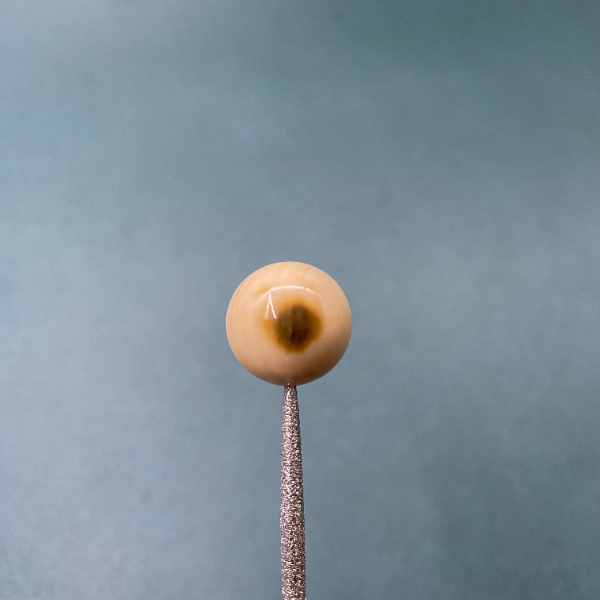 S8096天然猛犸牙猛犸蓝眼圆珠支持鉴定假一罚四