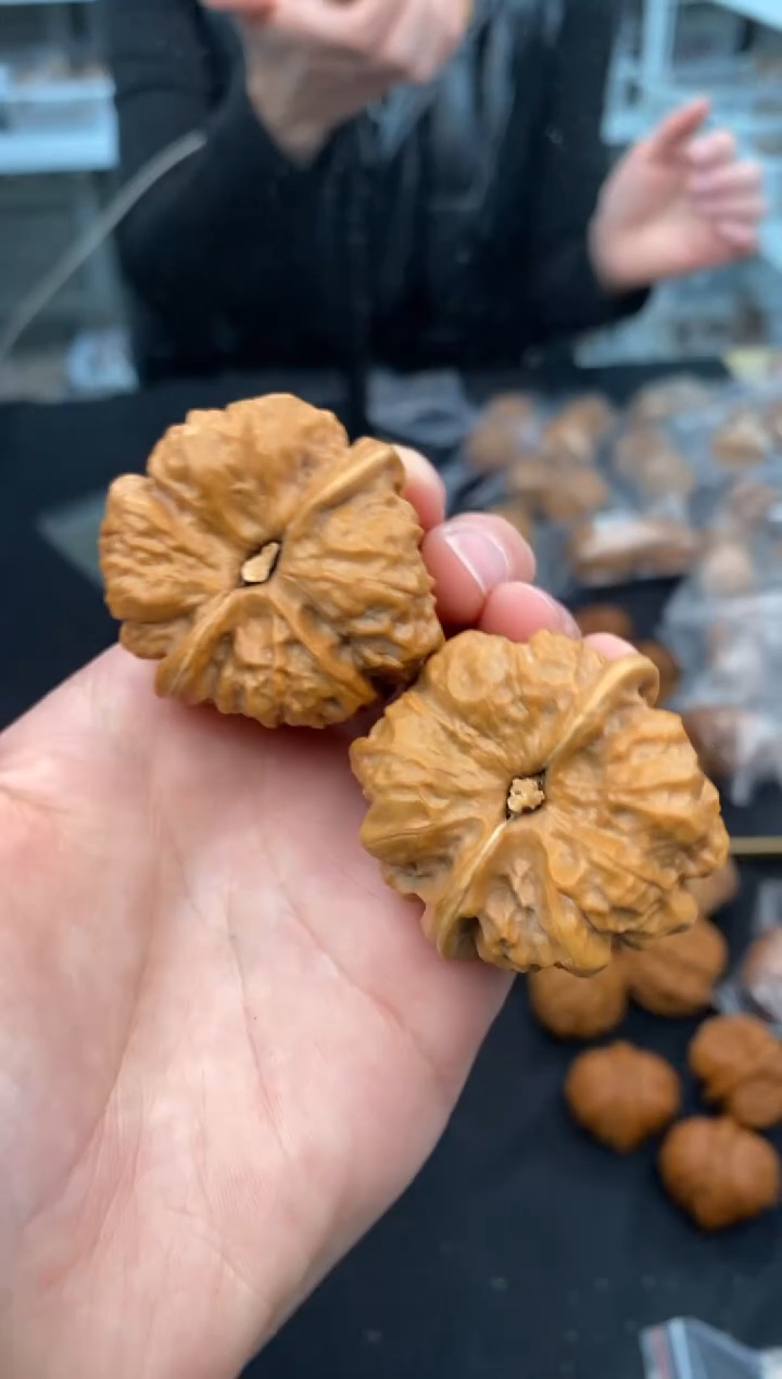 【闪购商品】文玩核桃把件延庆蛙40-t033