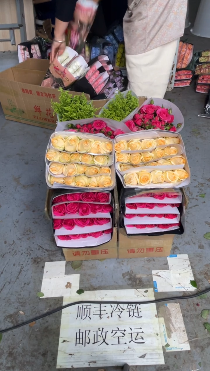 佛洛依德20枝+香槟20枝+苏菲10枝+黄莺