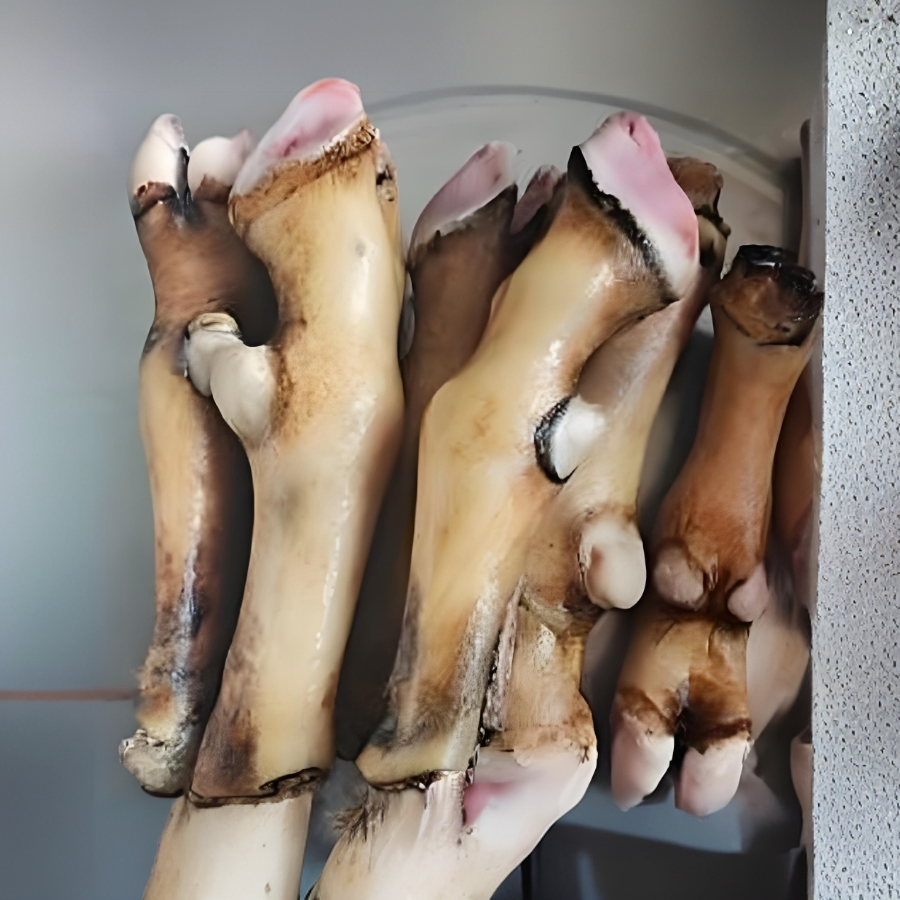 云南土羊脚可断骨