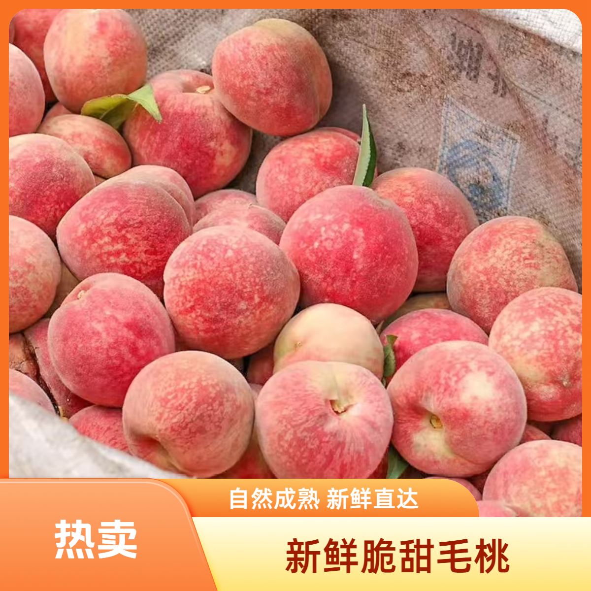 【脆甜口突围毛桃】新鲜采摘脆甜多汁的桃子 应季水果自然成熟包邮到家桃子同城送北京市
