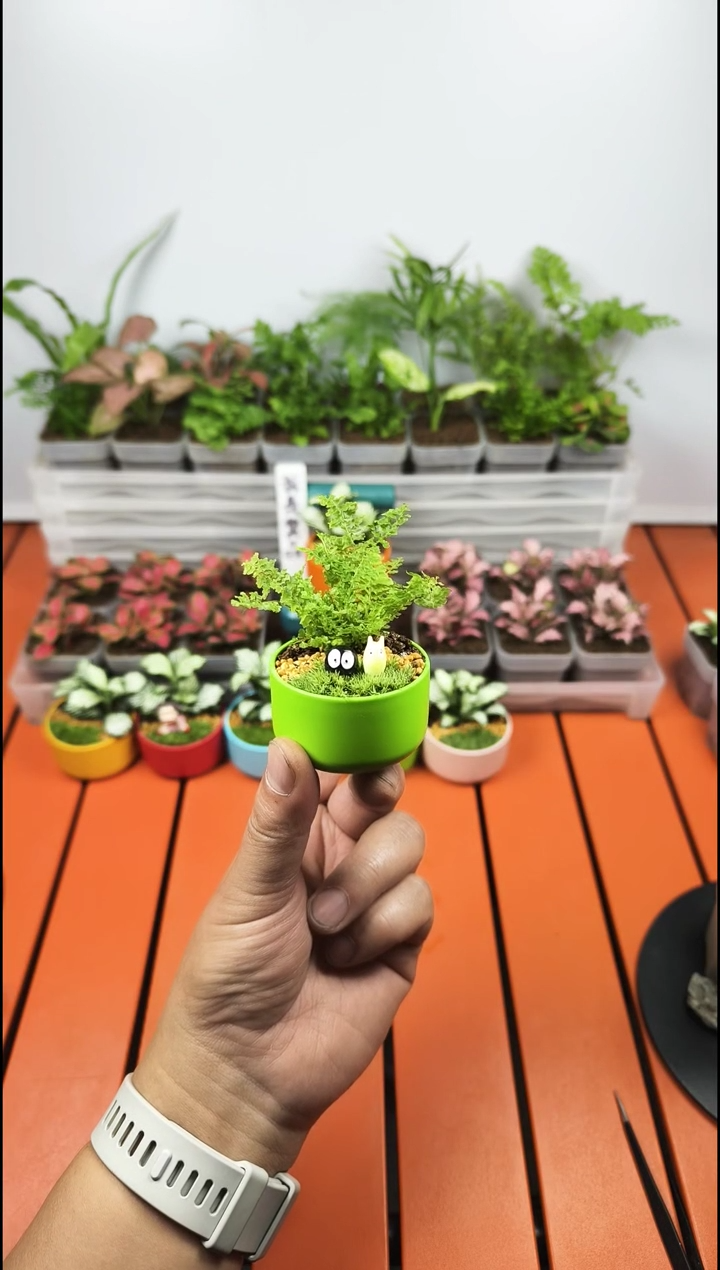 无花朵小茉李专属链接绿色马卡龙棉花糖1