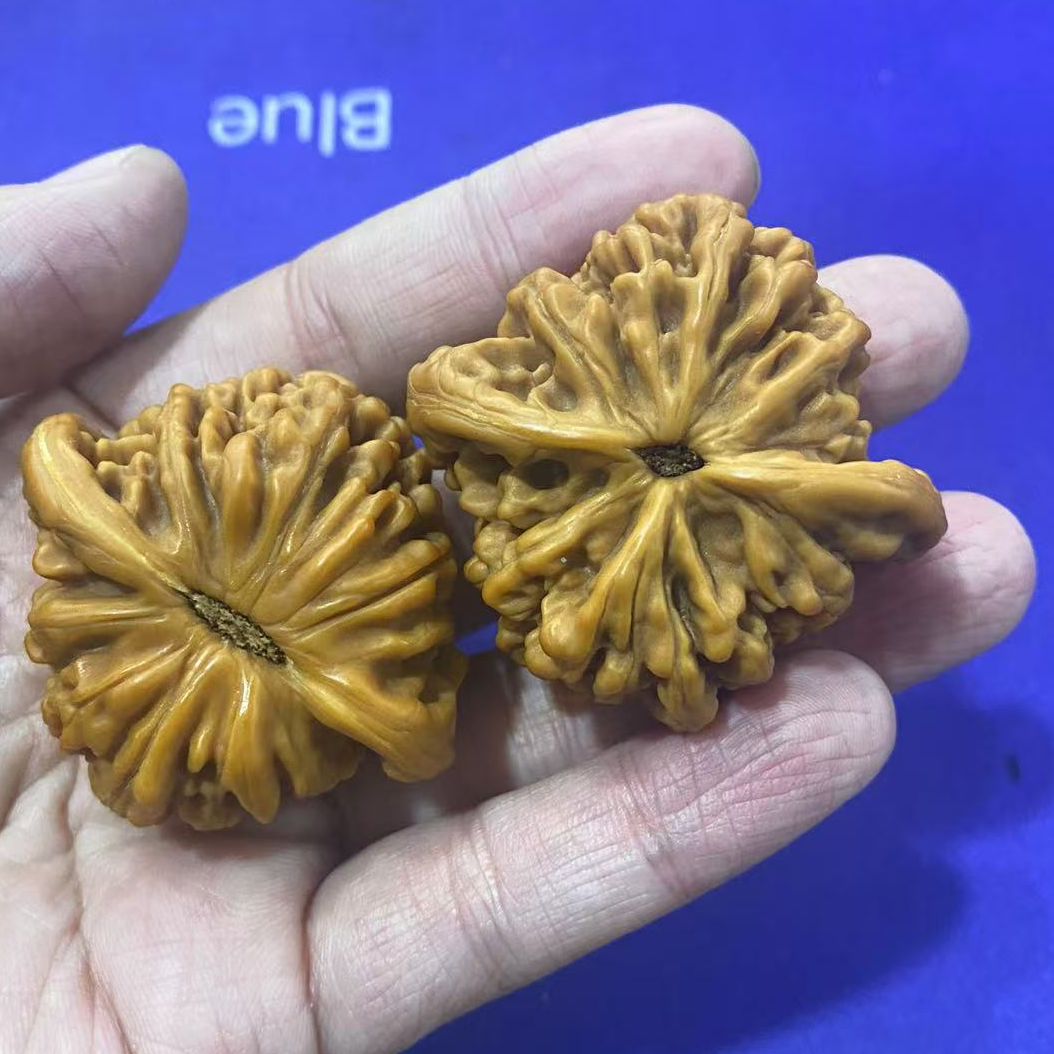 S44 核桃手把件一对（尺寸样式多样性）