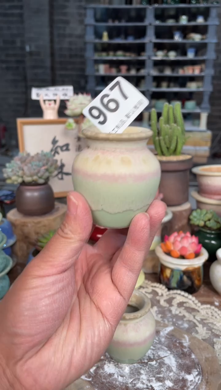 瓷片967小芳直播编号
