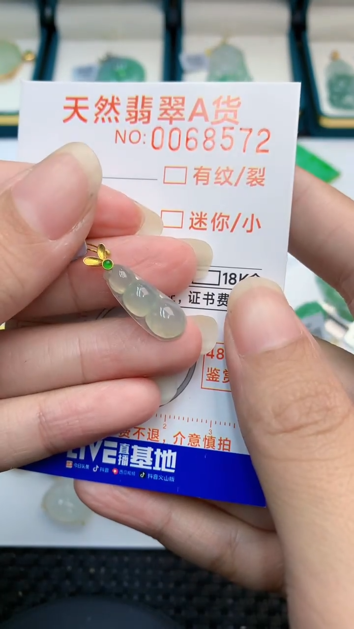 【闪购商品】翡翠颈饰18K金镶嵌            8