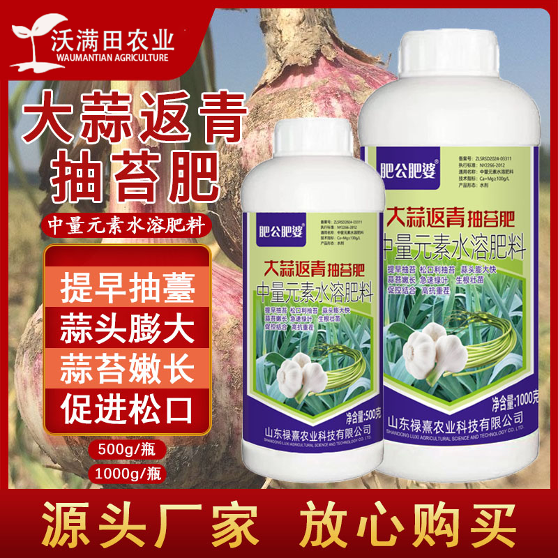大蒜专用肥大蒜出苔齐蒜苔粗蒜头大易抽苔早抽苔早熟增产叶面肥