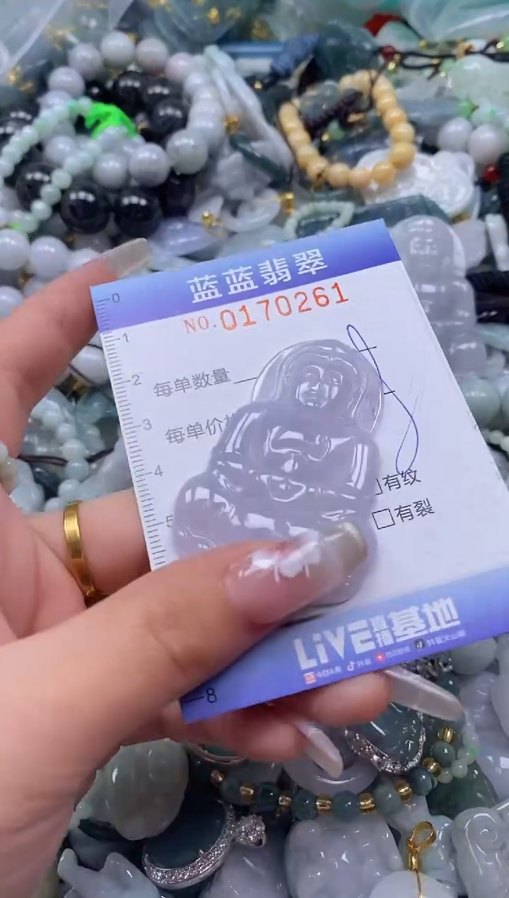 【闪购商品】翡翠颈饰未镶嵌闪购0170261