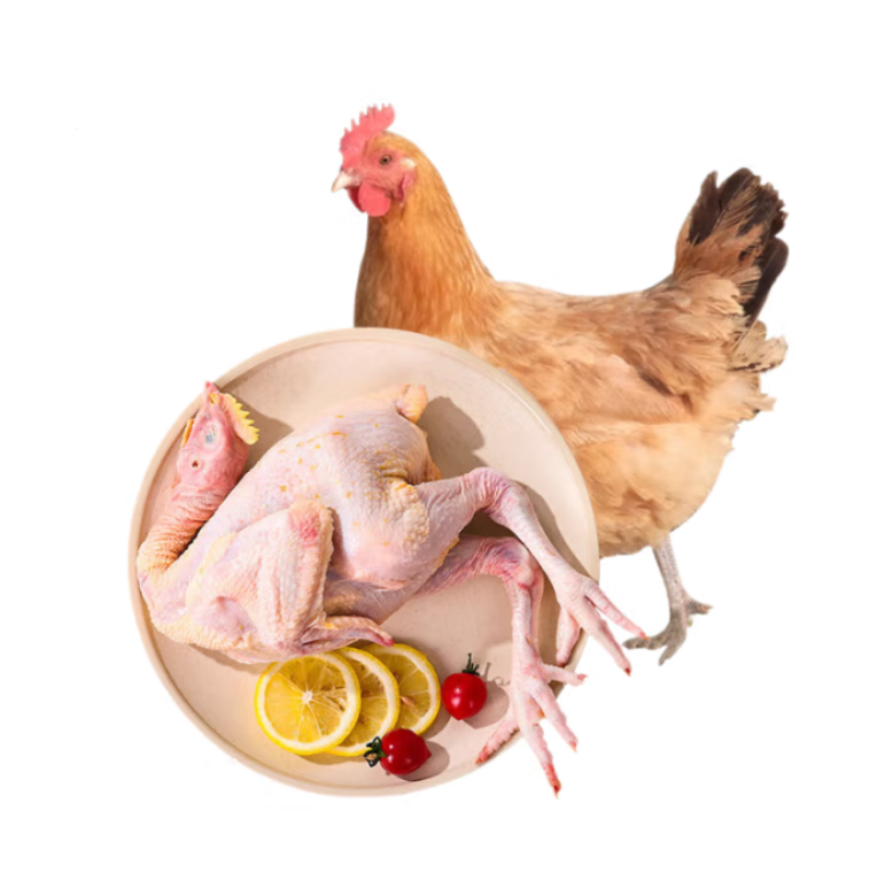 【精选】仔鸡约1500g±100g/只