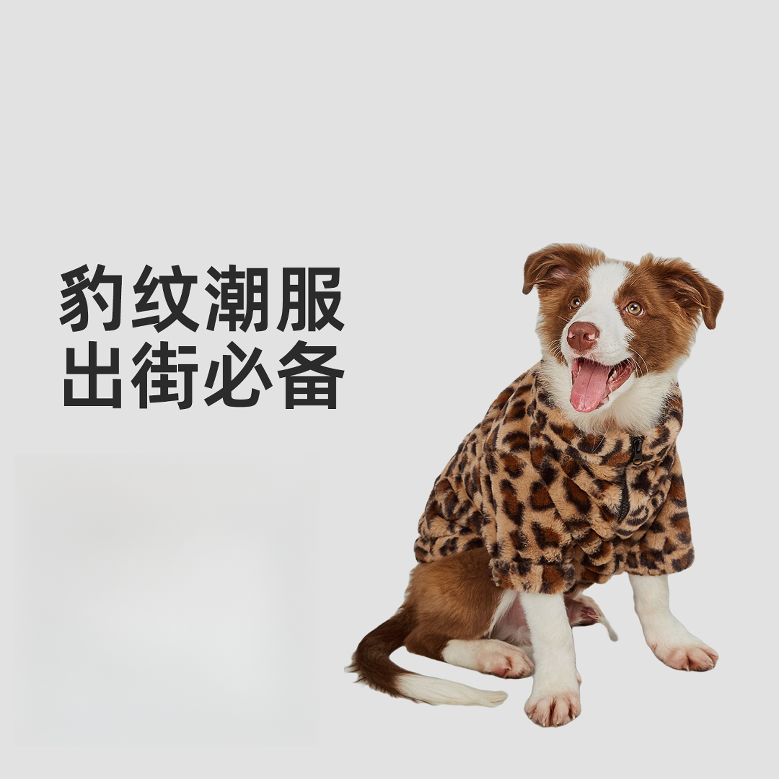 【汪叽咪】宠物潮牌时尚保暖豹纹狗狗衣服猫咪秋冬保暖中小型犬外套