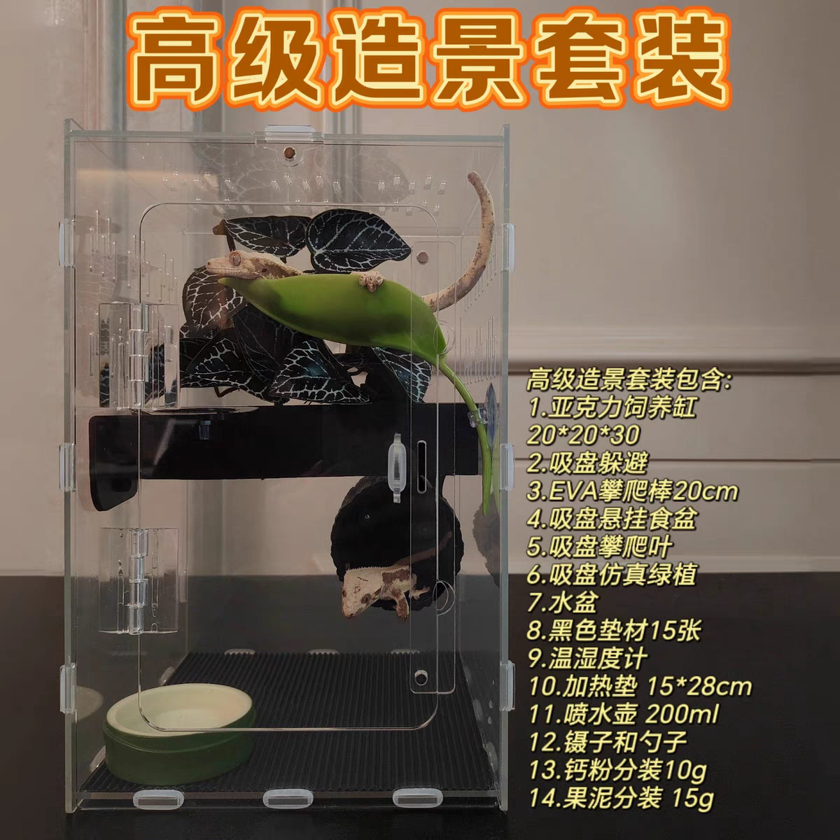 【掌心小怪兽】亚克力缸饲养箱睫角守宫树栖角蛙生态雨林造景饲养缸