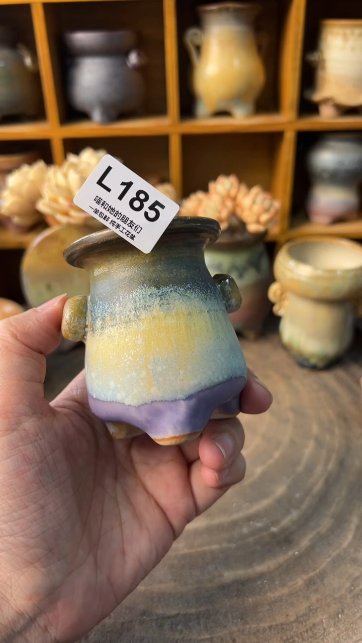 185 内口4【多肉花盆多肉盆】