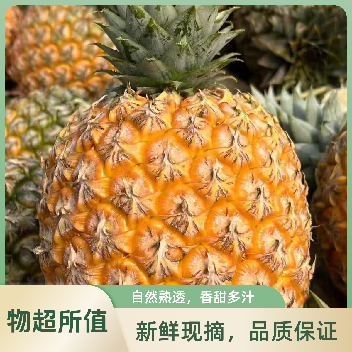 海南凤梨（3头装）