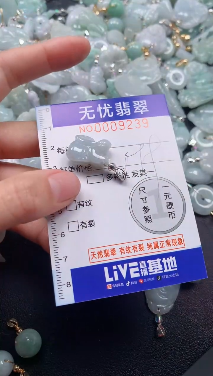颈饰未镶嵌翡翠9239