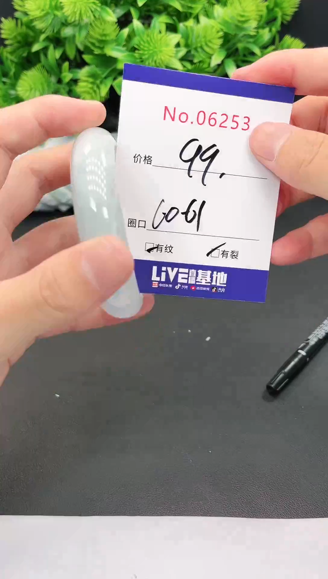 未镶嵌手镯翡翠6253