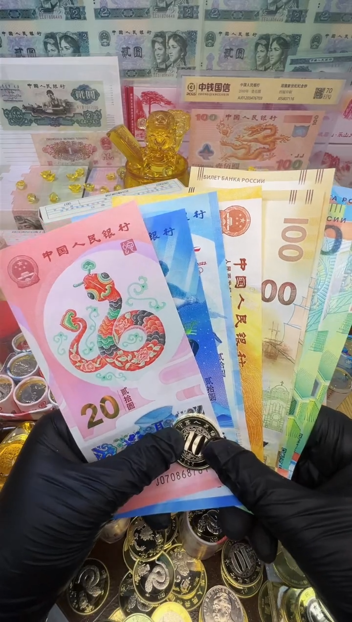 【闪购商品】纸币福蛇献瑞纪念八钞一币合集（纸+塑料）