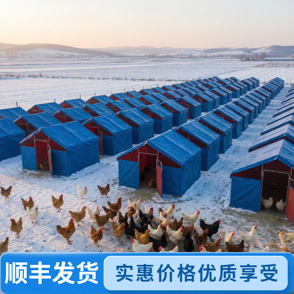 宽3m*长3m*高2m 户外大型家禽鸡笼鸡舍养殖用防雨钢管搭建鸡棚 