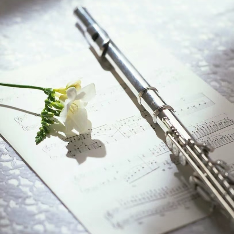 长笛【在逃公主必修课】长笛入门！吹出优雅与气质