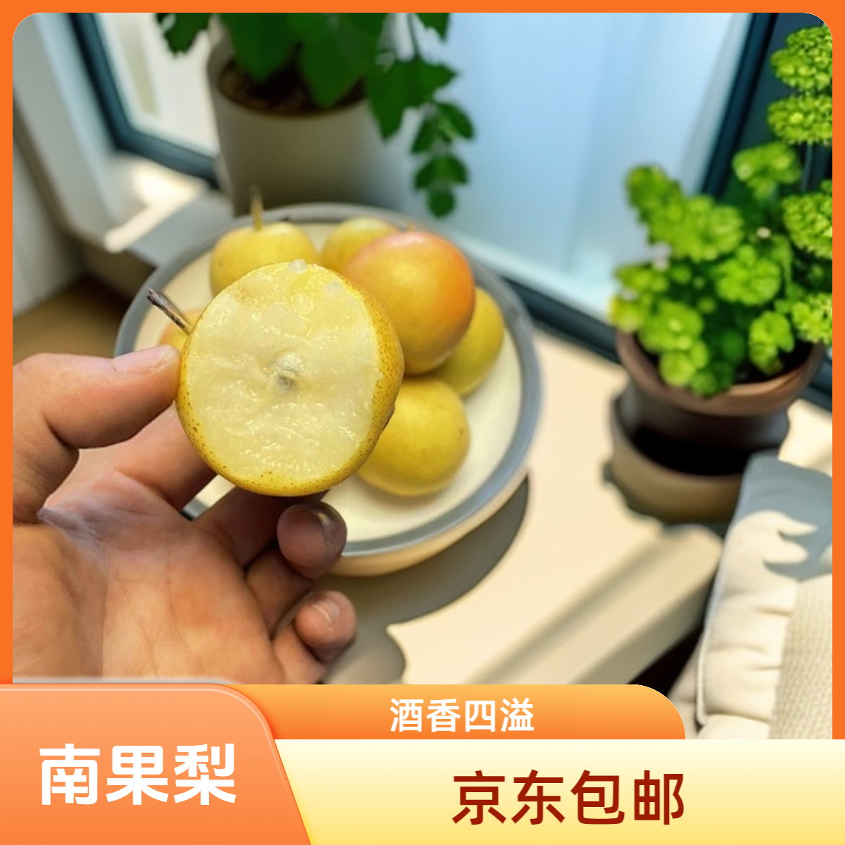 【京东包邮】鞍山南果梨正宗东北特产新鲜水果酸甜多汁酒香浓郁